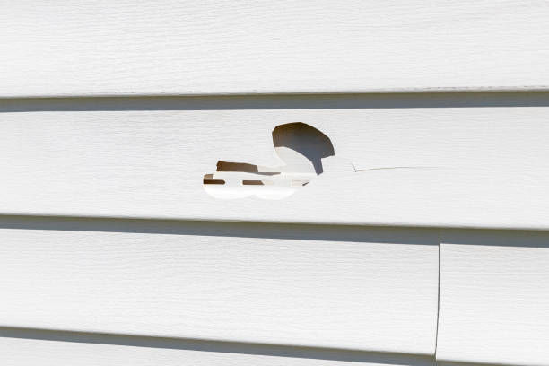 Best Custom Trim and Detailing for Siding  in Portsmouth, NH