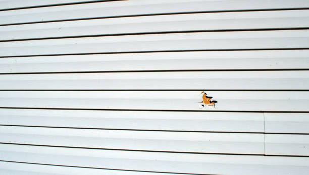Best Aluminum Siding Installation  in Portsmouth, NH
