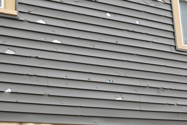 Best Siding Painting and Refinishing  in Portsmouth, NH